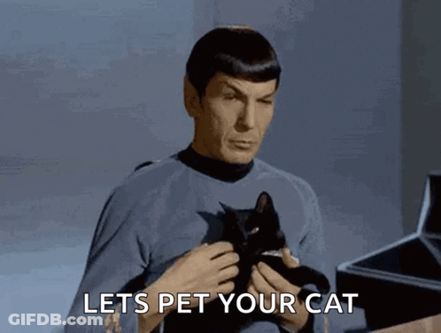 Man Holding Black Cat Lets Pet Your Cat GIF