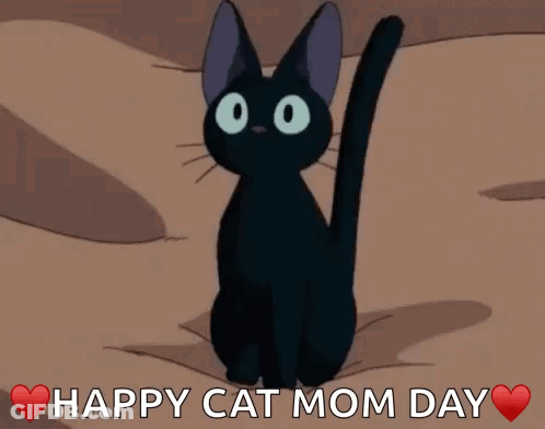 Man Holding Black Cat Proud Mother GIF