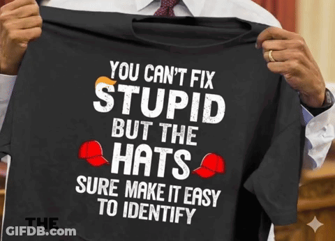 Man Holding Black Shirt Saying You Can't Fix Stupid But The Hats Sure Make It Easy To Identify GIF