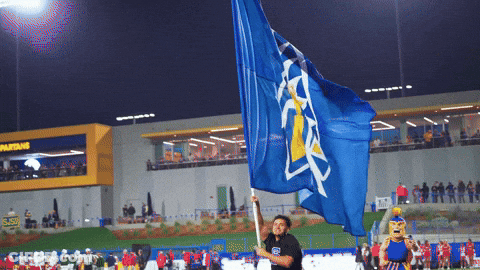 Man Holding Blue Flag With Yellow Triangle GIF