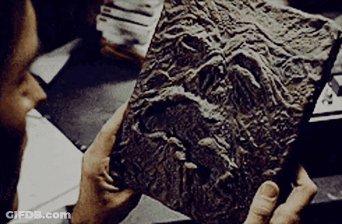 Man Holding Book With Face GIF
