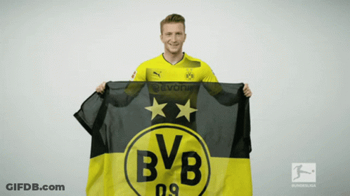 Man Holding BVB Flag In Front Of Bundesliga Logo GIF