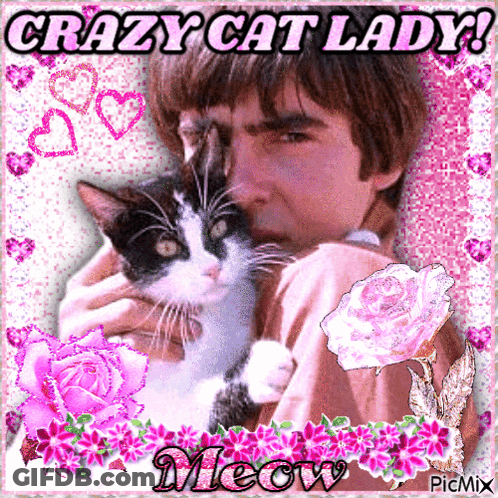 Man Holding Cat Crazy Cat Lady GIF