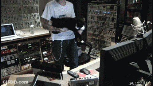 Man Holding Cat In Recording Studio With X GIF