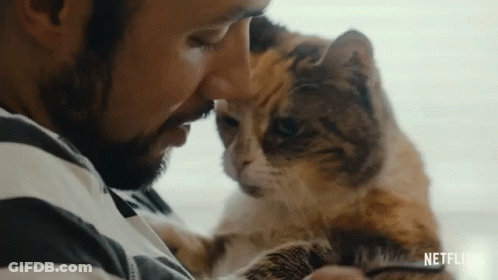 Man Holding Cat Netflix GIF