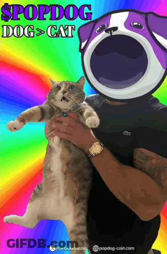 Man Holding Cat With Dog Head GIF