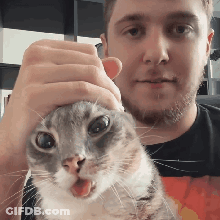 Man Holding Cat With Tongue Out GIF