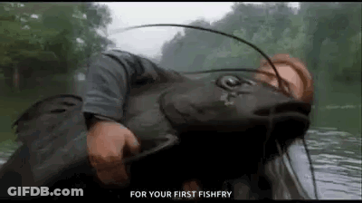 Man Holding Catfish In Water GIF