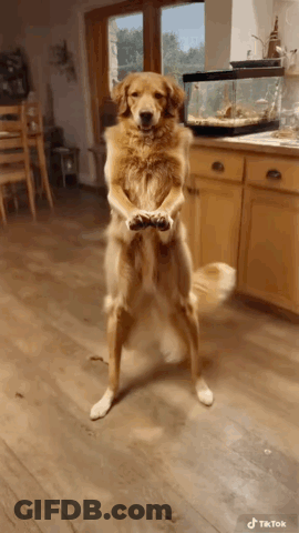 Man Holding Cheese Grater Over Cheese GIF