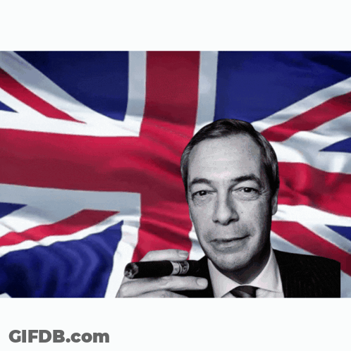 Man Holding Cigar In Front Of Flag GIF
