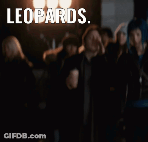 Man Holding Coffee Leopards Faces That Guy Fafo GIF