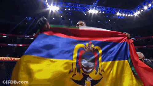Man Holding Colorful Flag With Shield In Stadium GIF