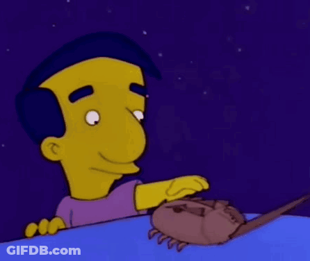 Man Holding Dinosaur's Head GIF