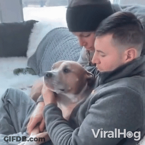 Man Holding Dog And Another Man Viralhog GIF