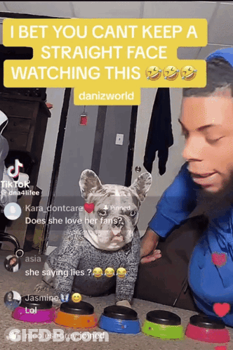 Man Holding Dog Danizworld Sign GIF