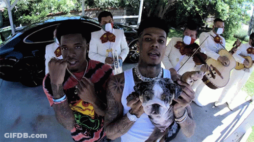 Man Holding Dog In Front Of Masked Mariachi Players GIF