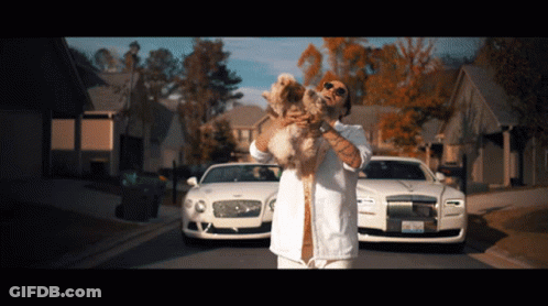 Man Holding Dog In Front Of Two Bentleys GIF