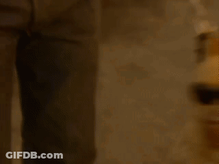 Man Holding Dog In Sunglasses GIF