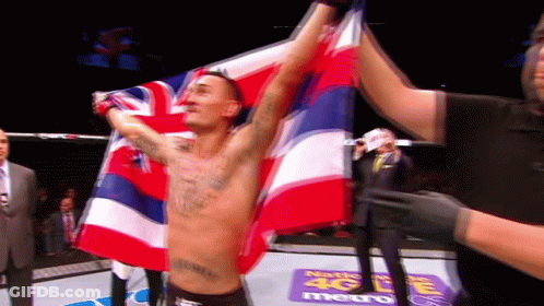 Man Holding Flag In Boxing Ring GIF