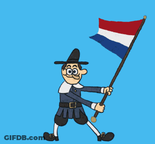 Man Holding Flag GIF