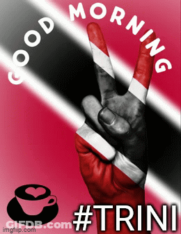 Man Holding Flag Saying Happy Independence Day T & T GIF
