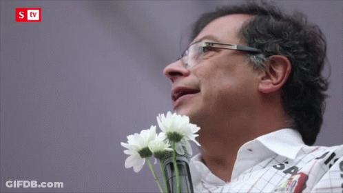 Man Holding Flowers At STV Microphone GIF