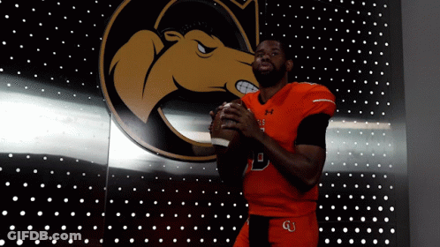 Man Holding Football Before Wall With Camel GIF