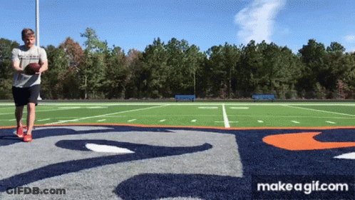 Man Holding Football On Field GIF