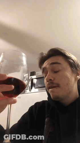 Man Holding Glass Of Red Wine GIF