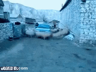 Man Holding Glass With Arms Outstretched GIF