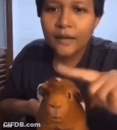 Man Holding Guinea Pig And Pointing GIF