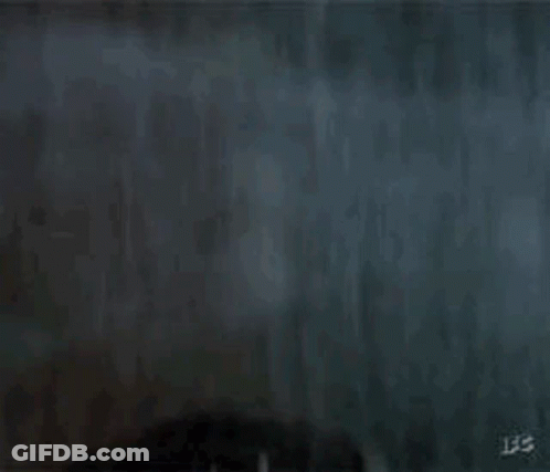 Man Holding Gun In Front Of Palm Tree GIF
