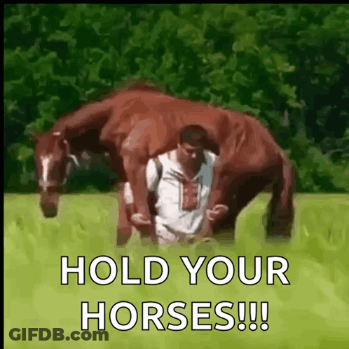 Man Holding Horse In Field Hold Your Horses GIF