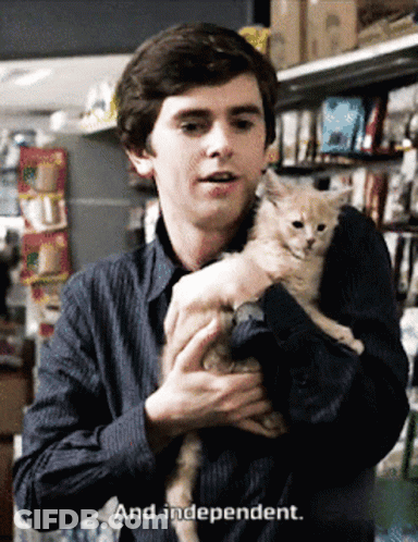 Man Holding Kitten Saying And Independent GIF