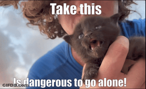 Man Holding Kitten Take This Is Dangerous To Go Alone GIF