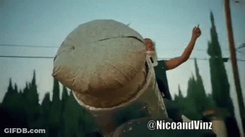 Man Holding Large Ball With @Nicoandvinz GIF