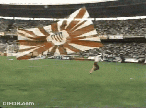Man Holding Large Flag On Stadium Field GIF