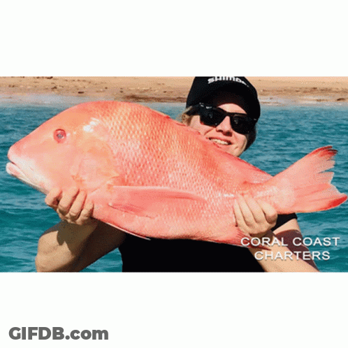 Man Holding Large Red Fish With Coral Coast Charters GIF