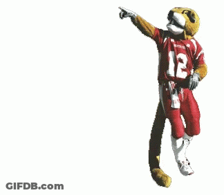 Man Holding Large Red Flag With Wolf GIF