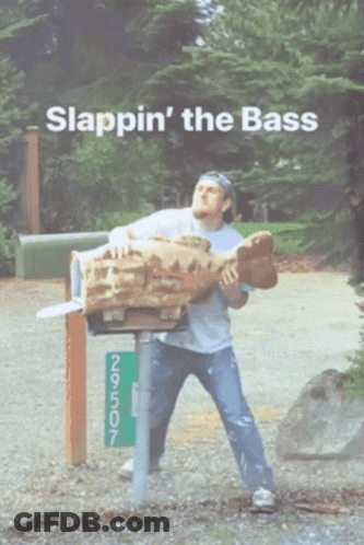 Man Holding Log In Front Of Mailbox 29507 GIF