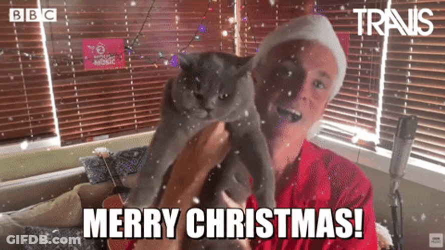 Man Holding Merry Christmas Cat GIF
