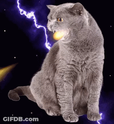 Man Holding Mic Saying Hawk Tuah You GIF