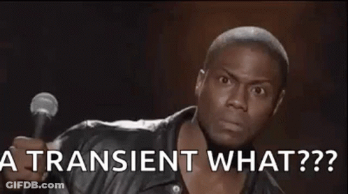 Man Holding Microphone Saying A Transient What? GIF