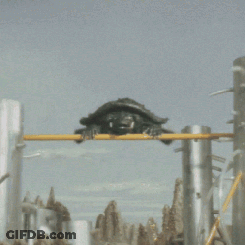 Man Holding Microphone Saying Very Very GIF