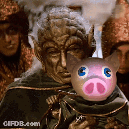 Man Holding Pig With Blue Eyes GIF