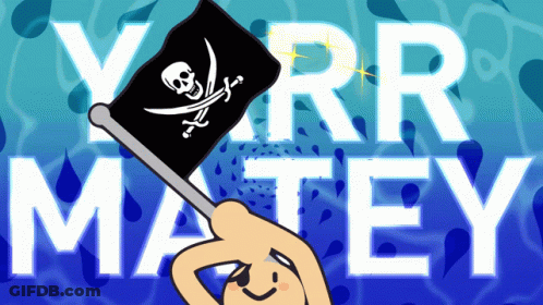 Man Holding Pirate Flag With Skull And Crossbones GIF