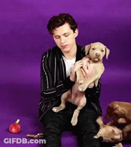 Man Holding Puppy While Sitting On Floor GIF
