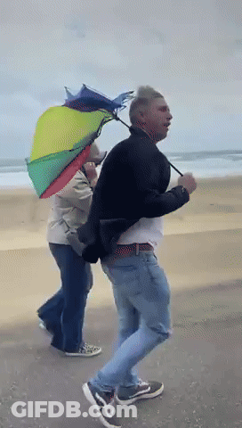 Man Holding Rainbow Umbrella Walking On Beach GIF