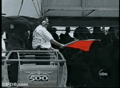 Man Holding Red Flag GIF