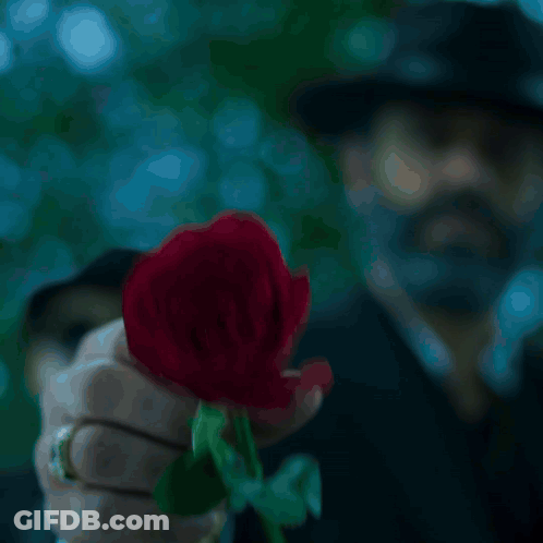 Man Holding Red Rose For The Haters GIF